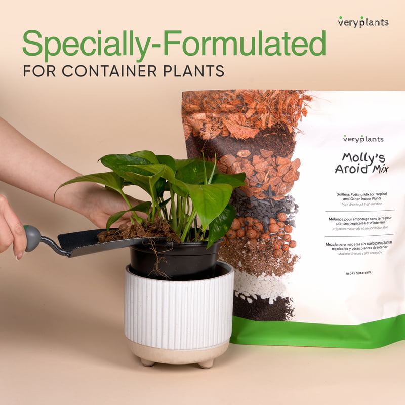 Molly's Aroid Mix • 5 Dry Quarts • Pallet 288 Units • $7.98 PER UNIT Molly's Aroid Mix • 5 Dry Quarts • Pallet 288 Units • $7.98 PER UNIT