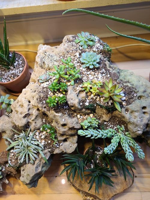 Love this product. I love succ