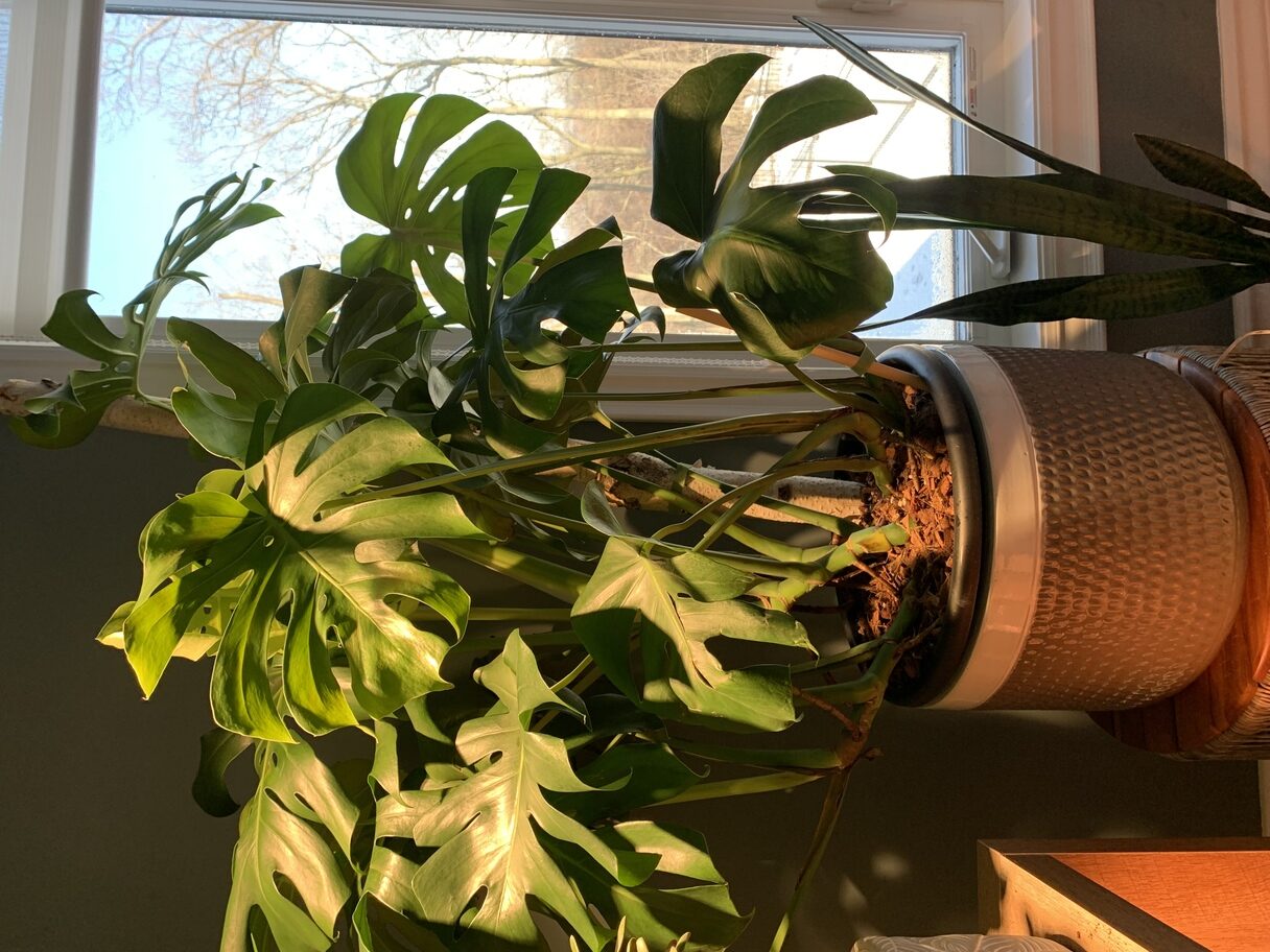 Loving this product so far! J