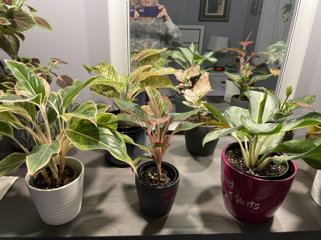 Love the Molly’s Mix! It’s sav