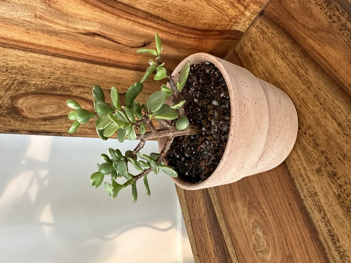 LOVE this gritty mix! I’m a ch