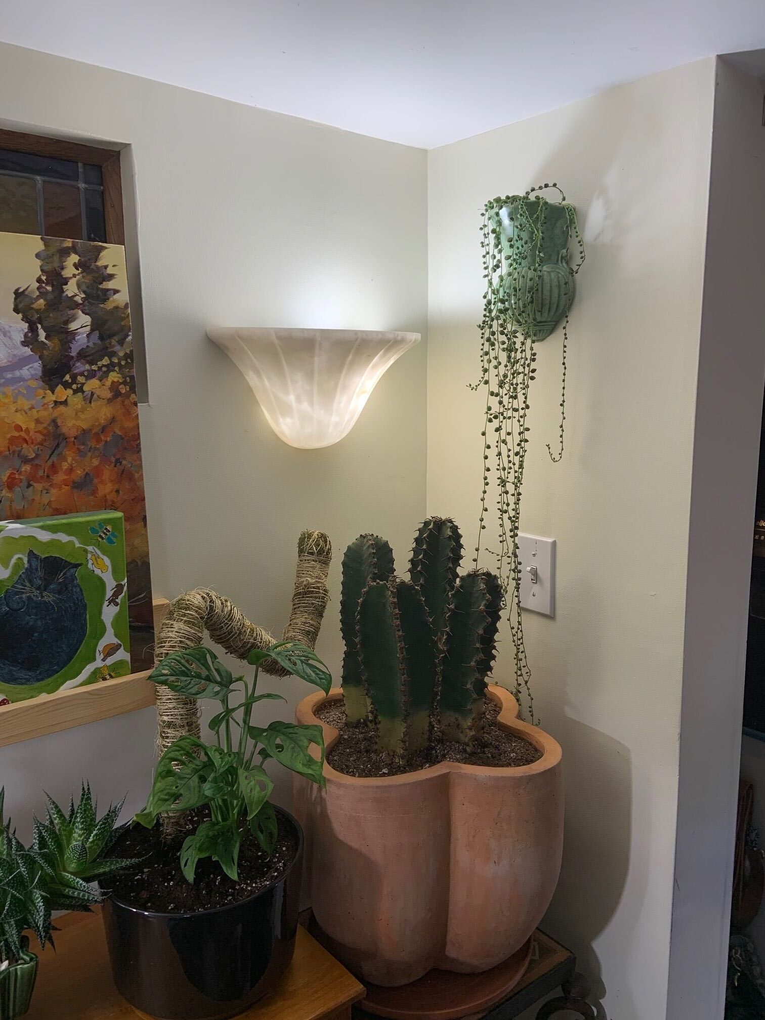 This soil mix is fantastic. I’