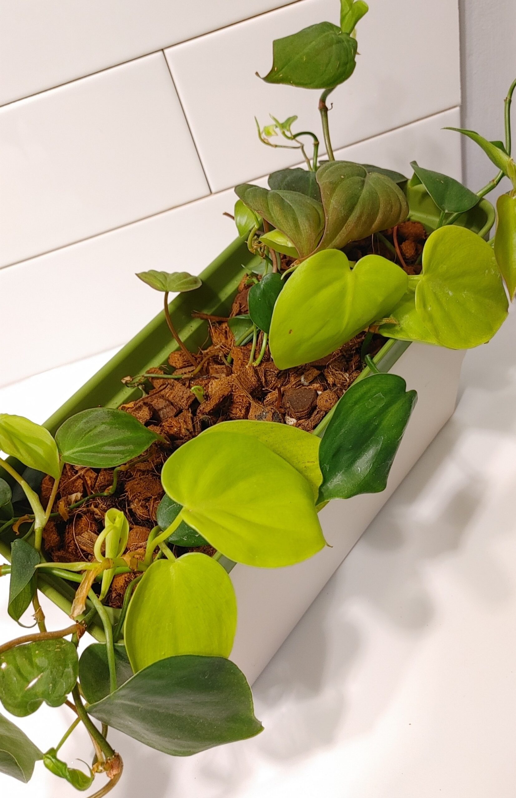 I’ve been using this mix for a