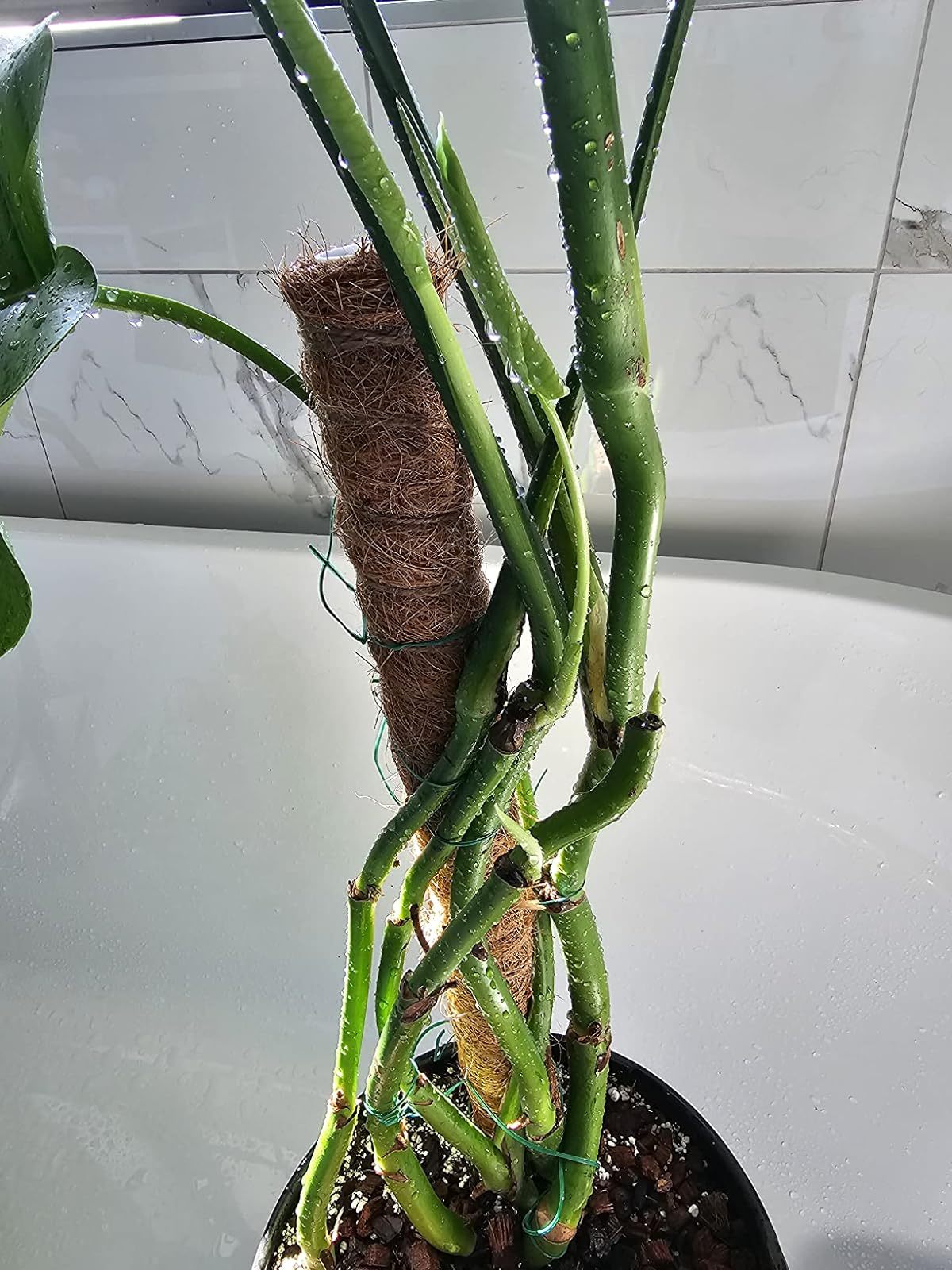 As many have said before, this