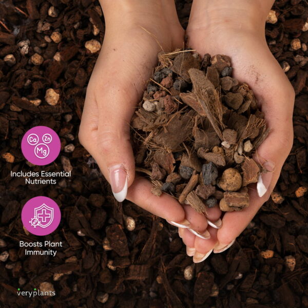 Molly's Orchid Mix - Image 3