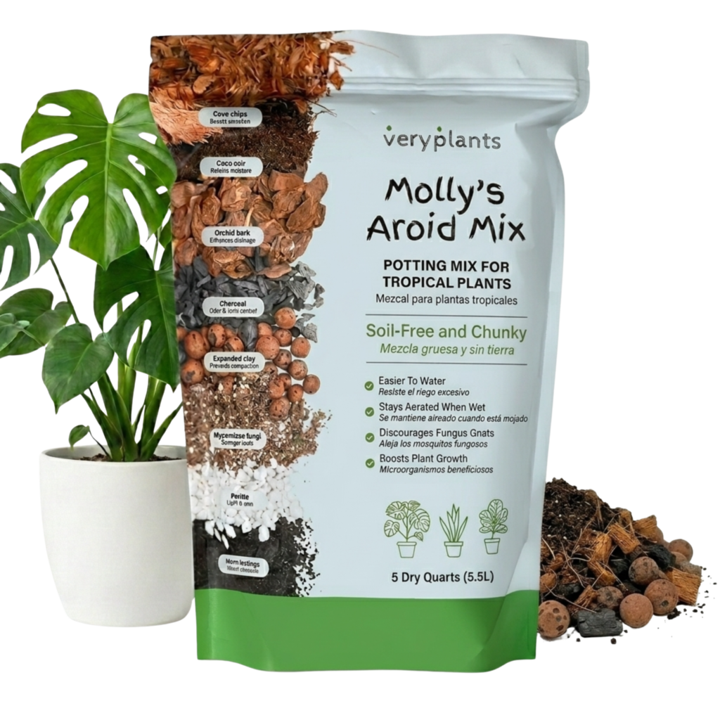 Molly's Aroid Mix