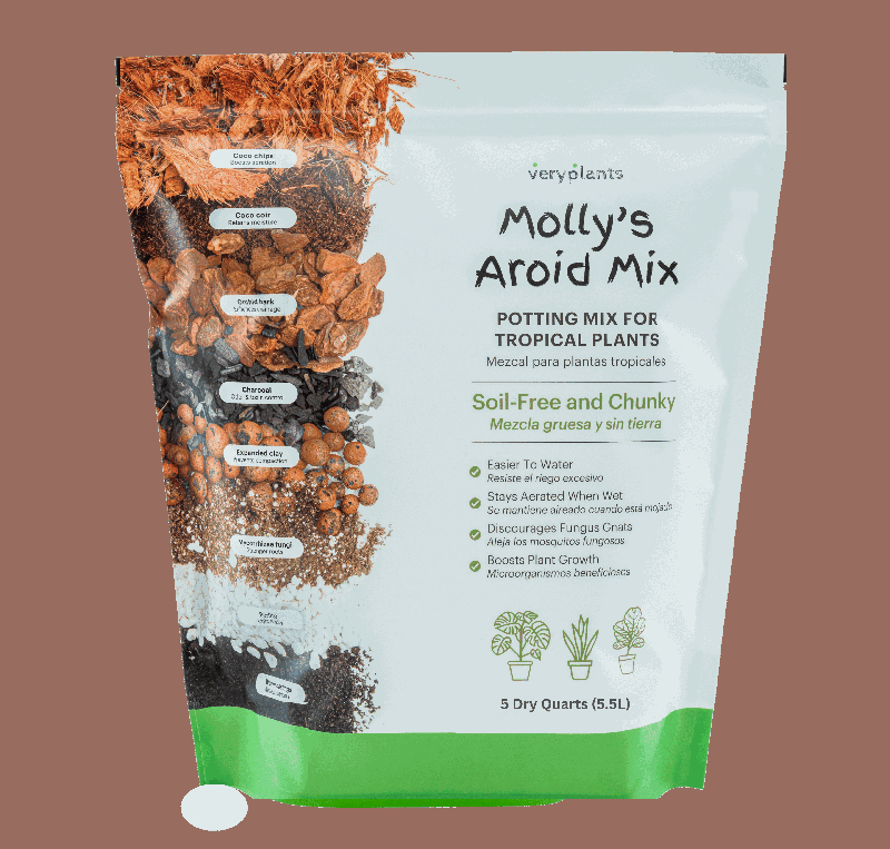 Molly's Aroid Mix