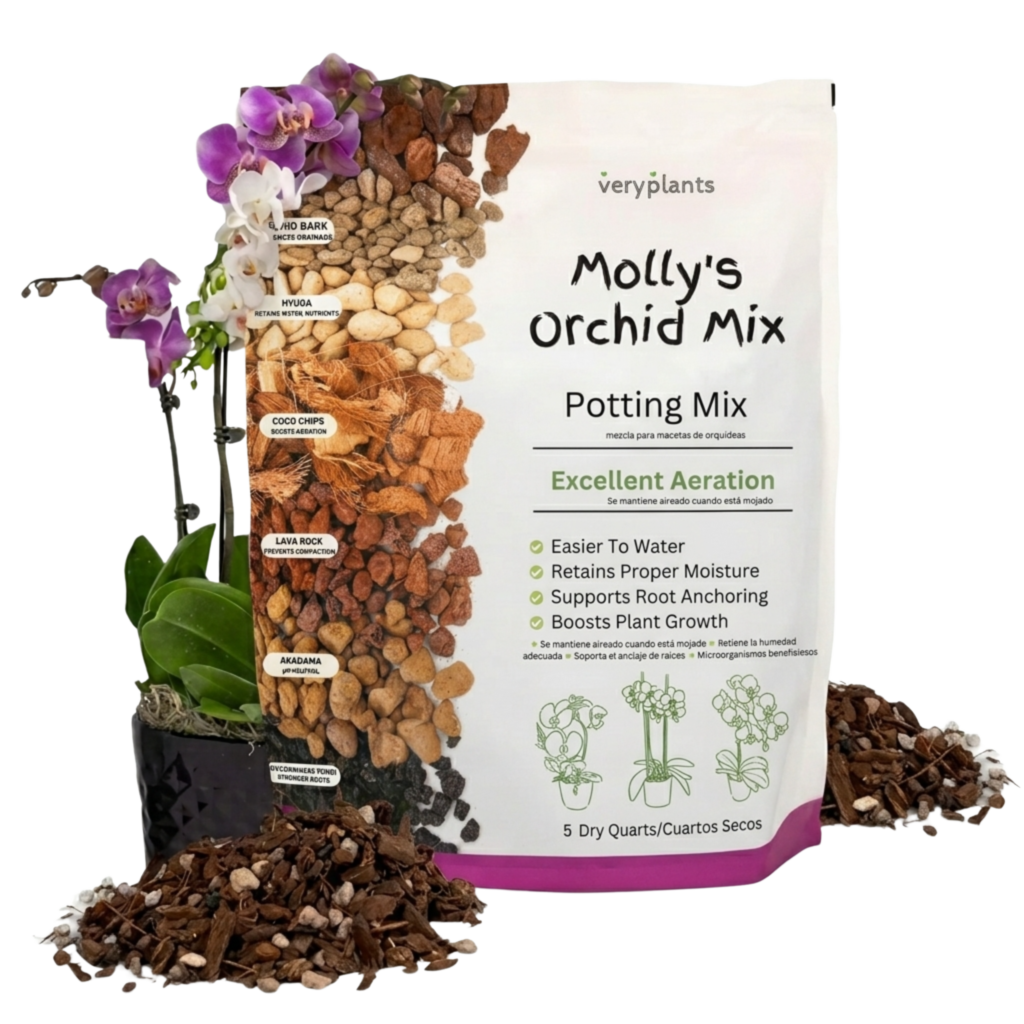 Molly's Orchid Mix