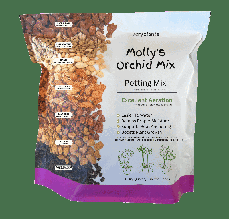 Molly's Orchid Mix