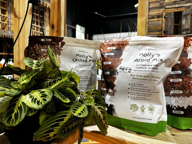 Veryplants on display at Earth Works